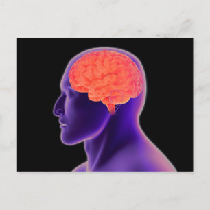Conceptual Image Of Human Brain 1 Postcard