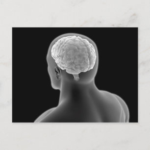 Conceptual Image Of Human Brain 2 Postcard