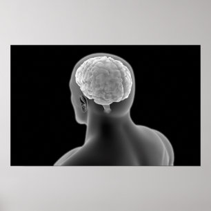 Conceptual Image Of Human Brain 2 Poster