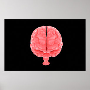 Conceptual Image Of Human Brain 3 Poster