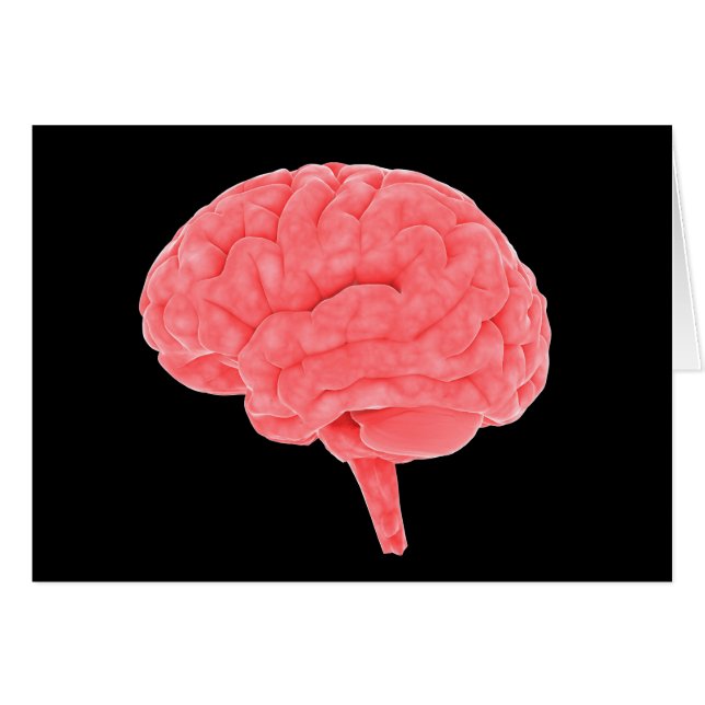Conceptual Image Of Human Brain 4 (Front Horizontal)