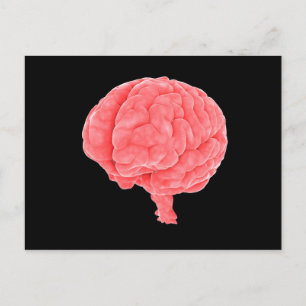 Conceptual Image Of Human Brain 5 Postcard