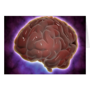 Conceptual Image Of Human Brain 6