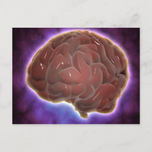 Conceptual Image Of Human Brain 6 Postcard