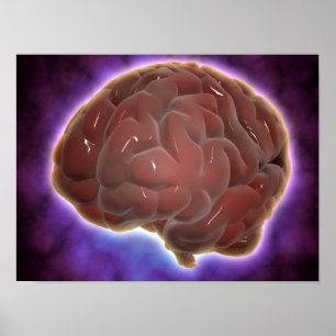 Conceptual Image Of Human Brain 6 Poster