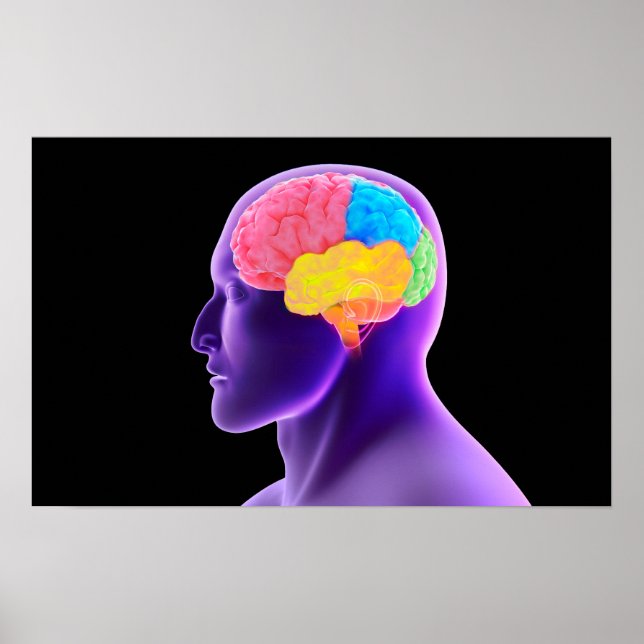 Conceptual Image Of Human Brain 7 Poster (Front)