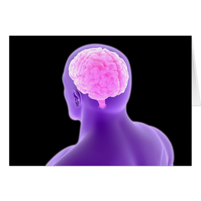 Conceptual Image Of Human Brain 9 (Front Horizontal)