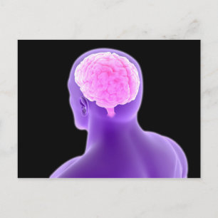 Conceptual Image Of Human Brain 9 Postcard