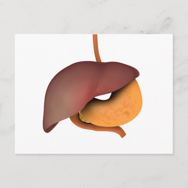 Conceptual Image Of Human Digestive System 3 Postcard (Front)