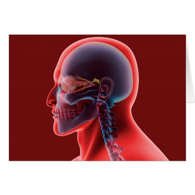 Conceptual Image Of Human Eye And Skull (Front Horizontal)