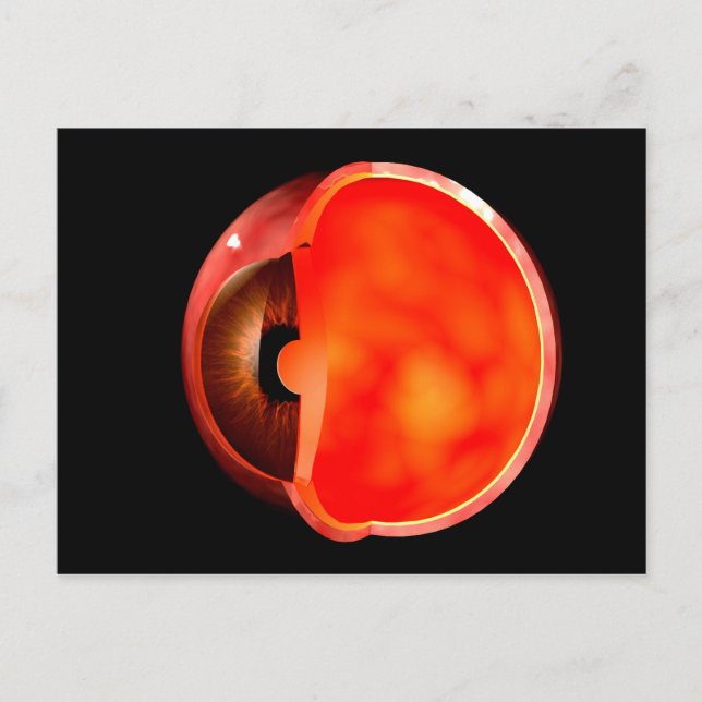 Conceptual Image Of Human Eye Cross Section 1 Postcard (Front)