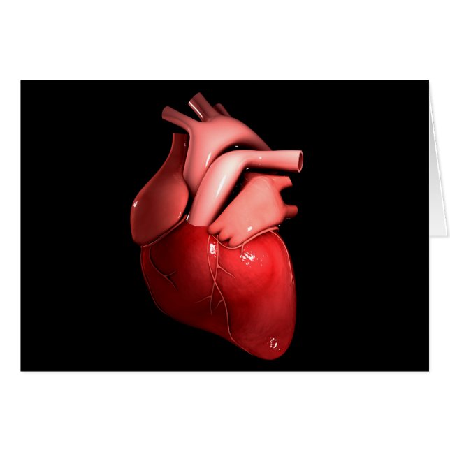 Conceptual Image Of Human Heart 1 (Front Horizontal)