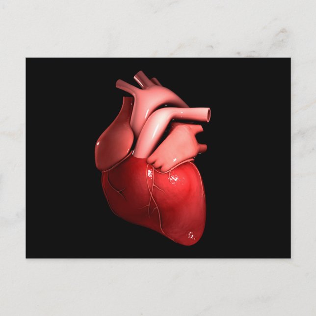 Conceptual Image Of Human Heart 1 Postcard (Front)