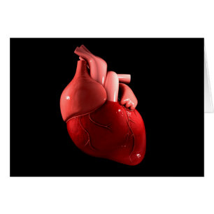 Conceptual Image Of Human Heart 2