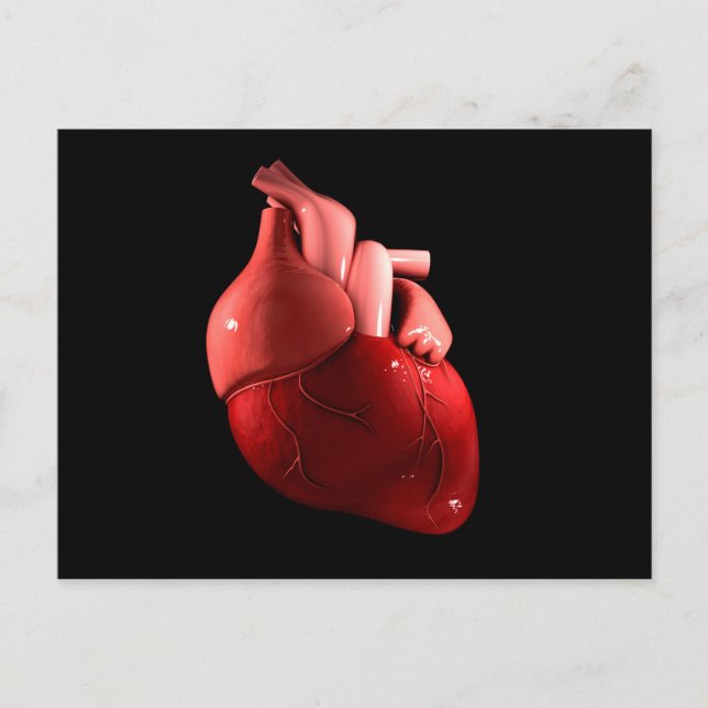Conceptual Image Of Human Heart 2 Postcard (Front)