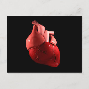 Conceptual Image Of Human Heart 2 Postcard