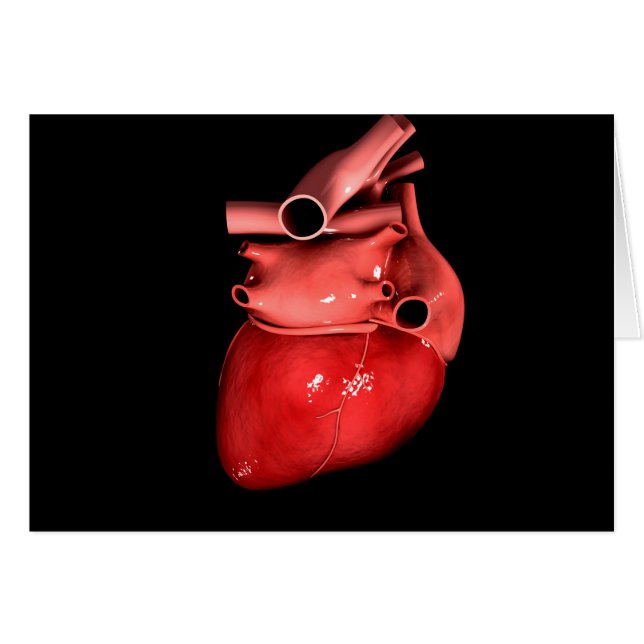Conceptual Image Of Human Heart 3 (Front Horizontal)