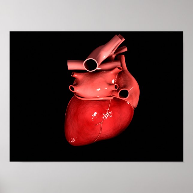 Conceptual Image Of Human Heart 3 Poster (Front)