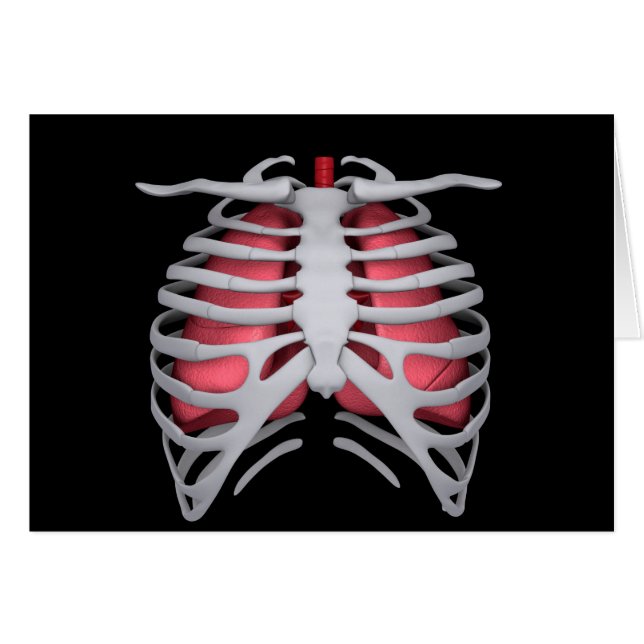 Conceptual Image Of Human Lungs And Rib Cage 1 (Front Horizontal)