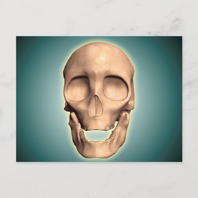 Conceptual Image Of Human Skull, Front View Postcard (Front)