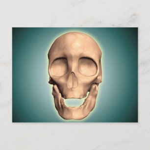 Conceptual Image Of Human Skull, Front View Postcard