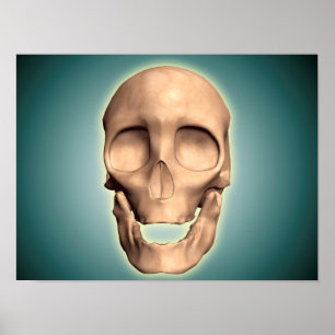 Conceptual Image Of Human Skull, Front View Poster