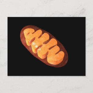 Conceptual Image Of Mitochondria 1 Postcard