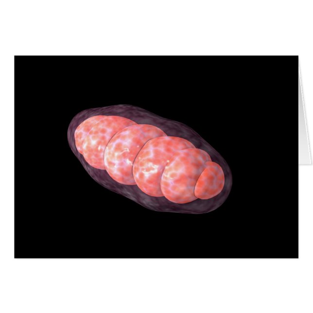 Conceptual Image Of Mitochondria 2 (Front Horizontal)