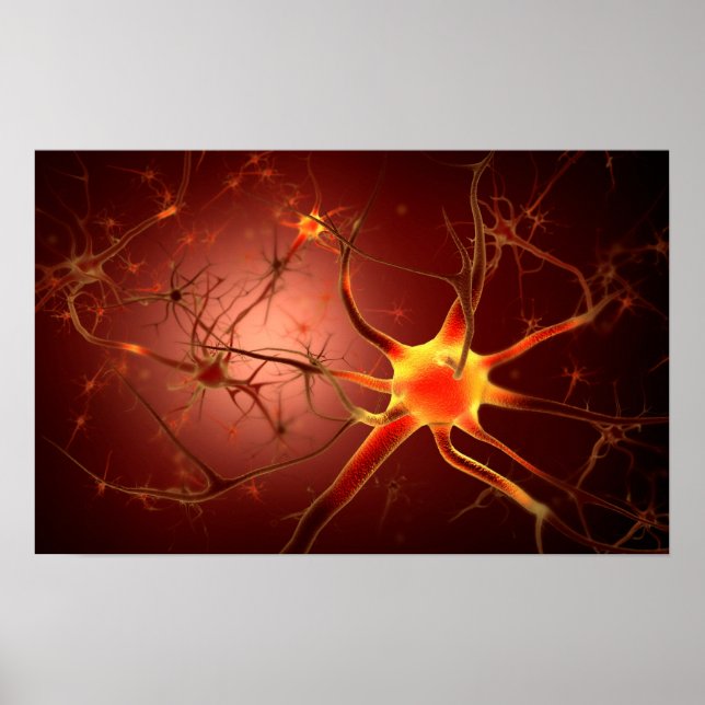 Conceptual Image Of Neuron 1 Poster (Front)