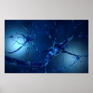 Conceptual Image Of Neuron 2 Poster