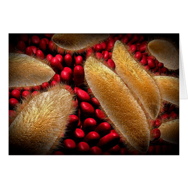 Conceptual Image Of Paramecium 1 (Front Horizontal)