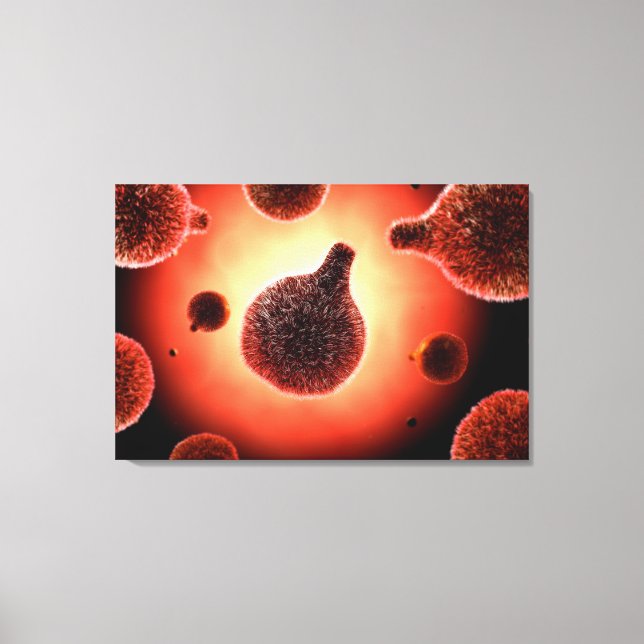 Conceptual Image Of Plasmodium Causing Malaria 1 Canvas Print (Front)