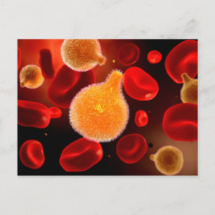 Conceptual Image Of Plasmodium Causing Malaria 2 Postcard