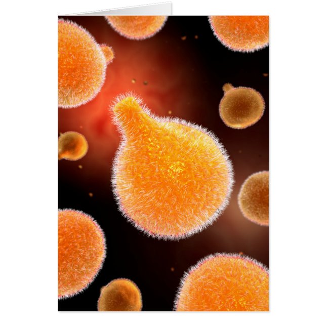 Conceptual Image Of Plasmodium Causing Malaria 3 (Front)