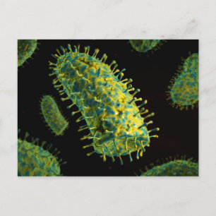 Conceptual Image Of Rabies Virus 2 Postcard