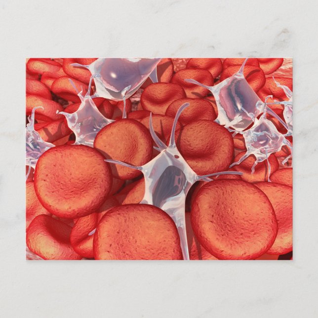 Conceptual Image Of Red Blood Cells 2 Postcard (Front)