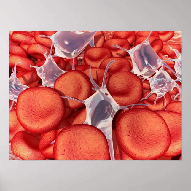 Conceptual Image Of Red Blood Cells 2 Poster (Front)