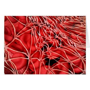 Conceptual Image Of Red Blood Cells With Fibrin