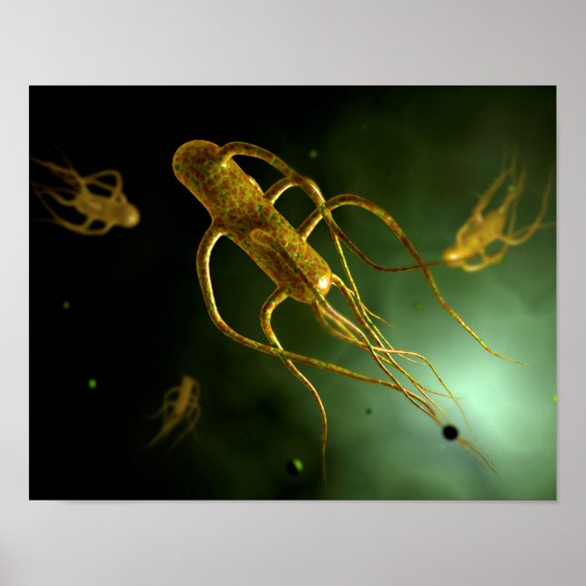 Conceptual Image Of Salmonella Typhi 2 Poster (Front)