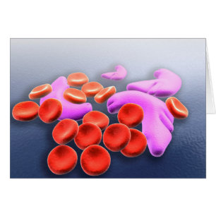 Conceptual Image Of Sickle Cell Anaemia