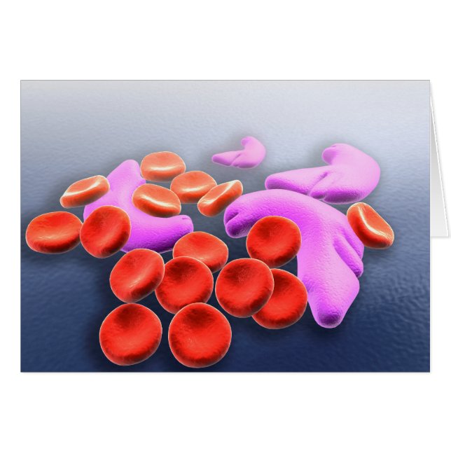 Conceptual Image Of Sickle Cell Anaemia (Front Horizontal)