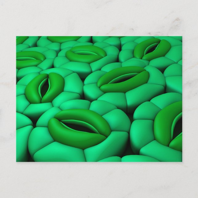 Conceptual Image Of Stomata 1 Postcard (Front)