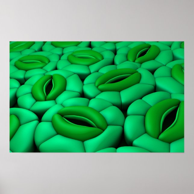 Conceptual Image Of Stomata 1 Poster (Front)