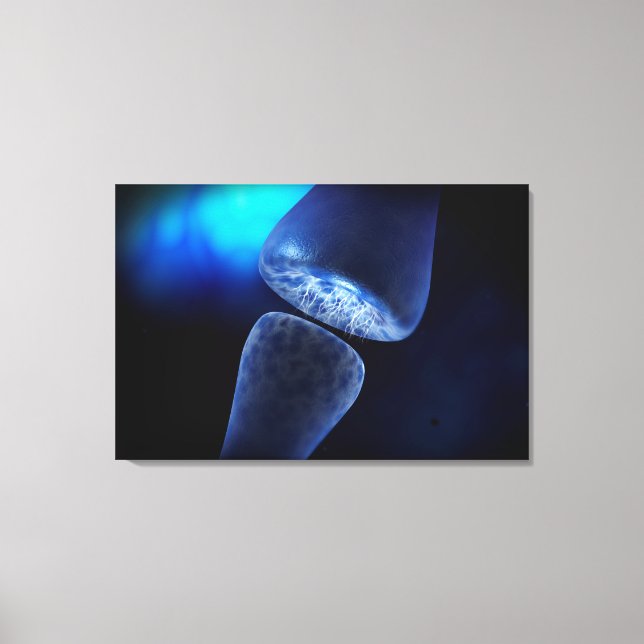 Conceptual Image Of Synapse Of Neuron Inside Canvas Print (Front)