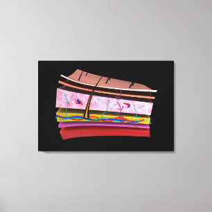 Conceptual Image Of The Layers Of Human Skin 2 Canvas Print