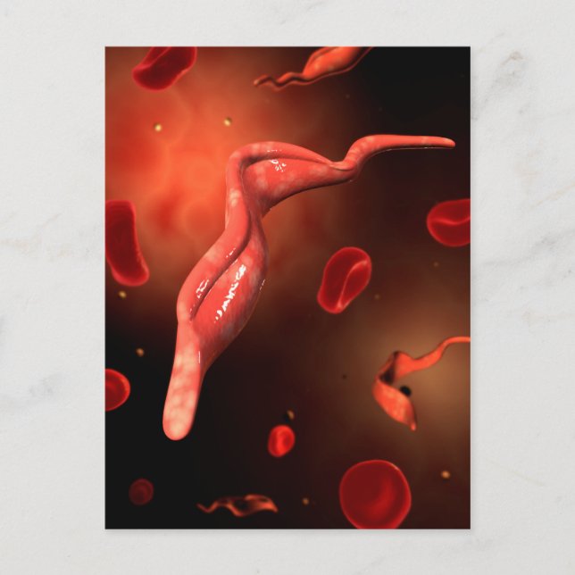 Conceptual Image Of Trypanosoma 1 Postcard (Front)