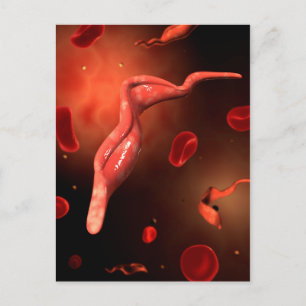 Conceptual Image Of Trypanosoma 1 Postcard