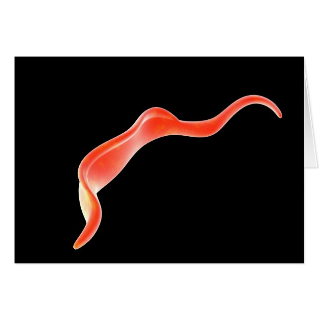 Conceptual Image Of Trypanosoma 2 (Front Horizontal)