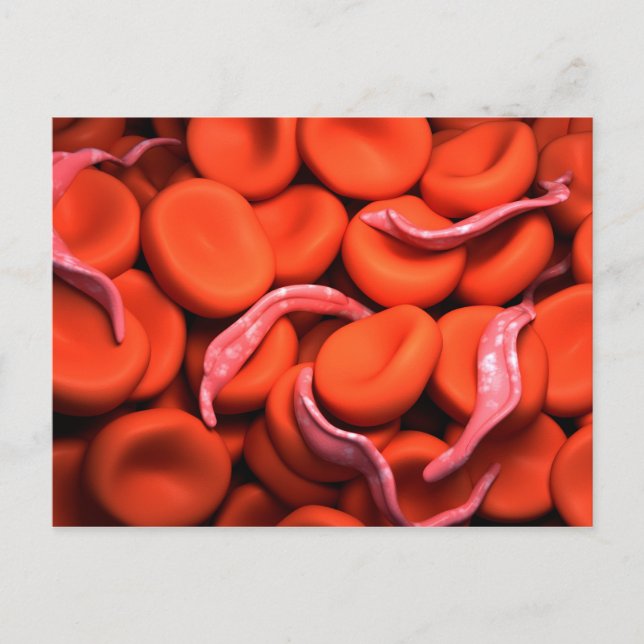 Conceptual Image Of Trypanosoma 3 Postcard (Front)