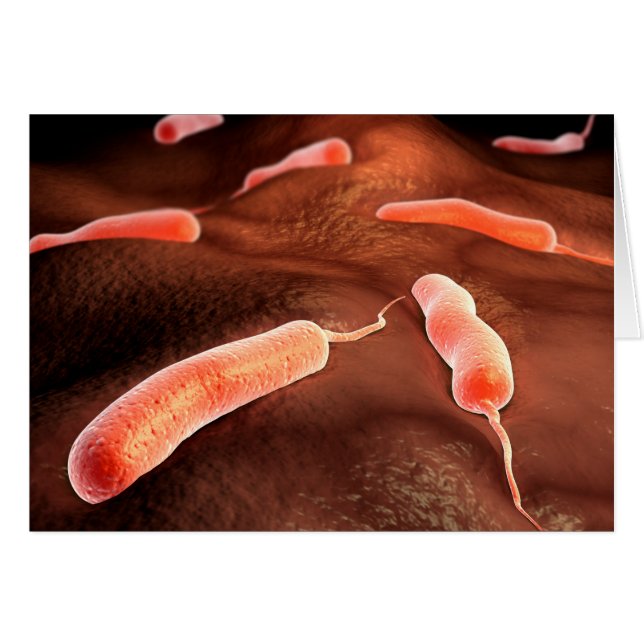 Conceptual Image Of Vibrio Cholerae 1 (Front Horizontal)